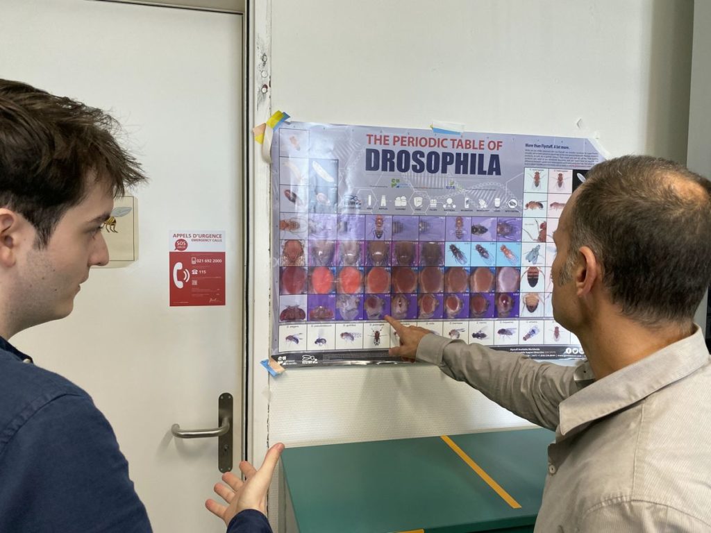 Fraxas Labo UNIL 2023